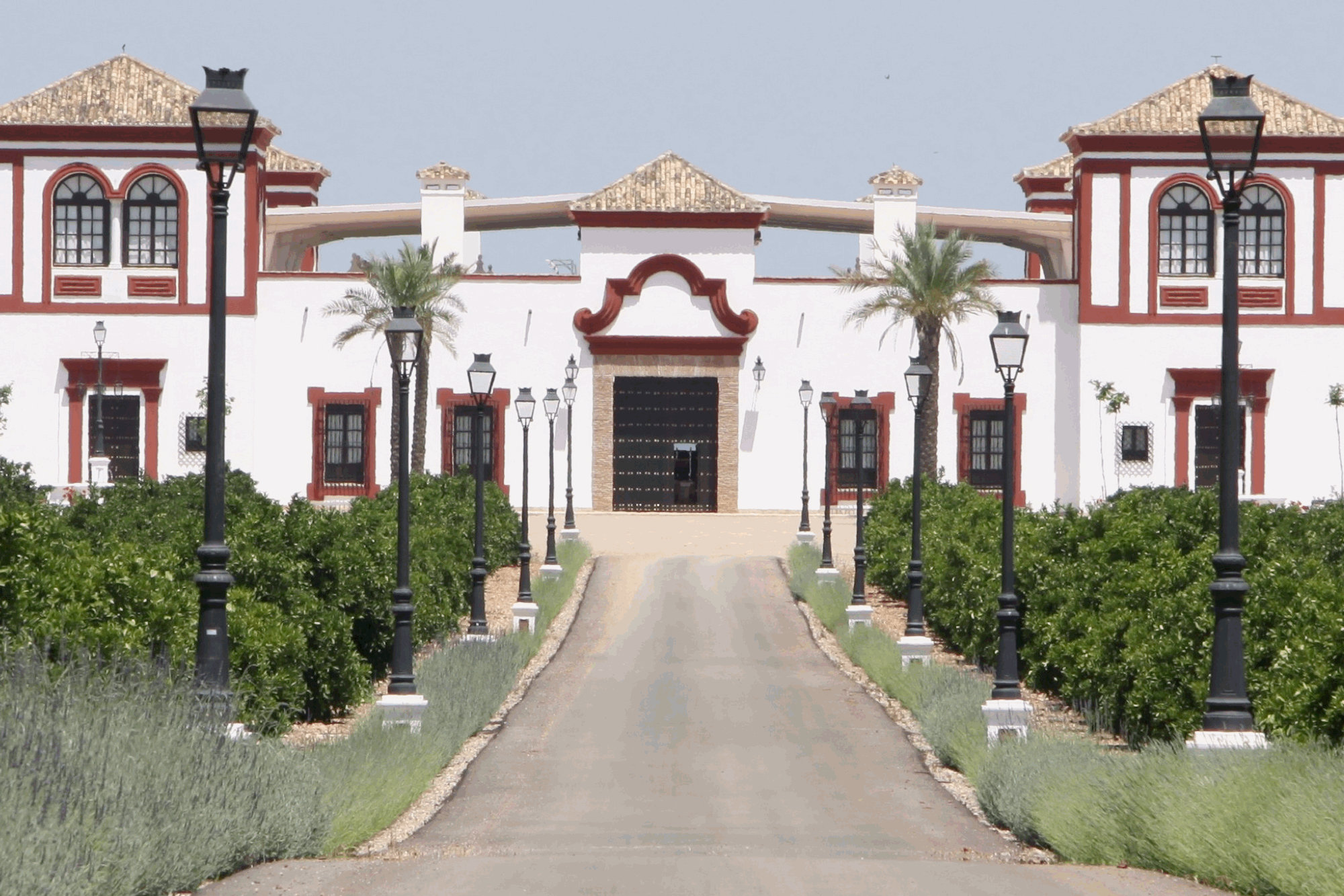 Finca Timoteo